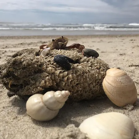 Casa de Férias Casa Do Areal, Refugio Rotas Pedestres Em