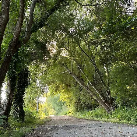 Casa Do Areal, Refugio Rotas Pedestres Em Mira (Coimbra)