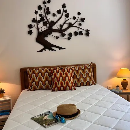 Casa Do Areal, Your Refuge In By Vadiar Turismo * Mira (Coimbra)